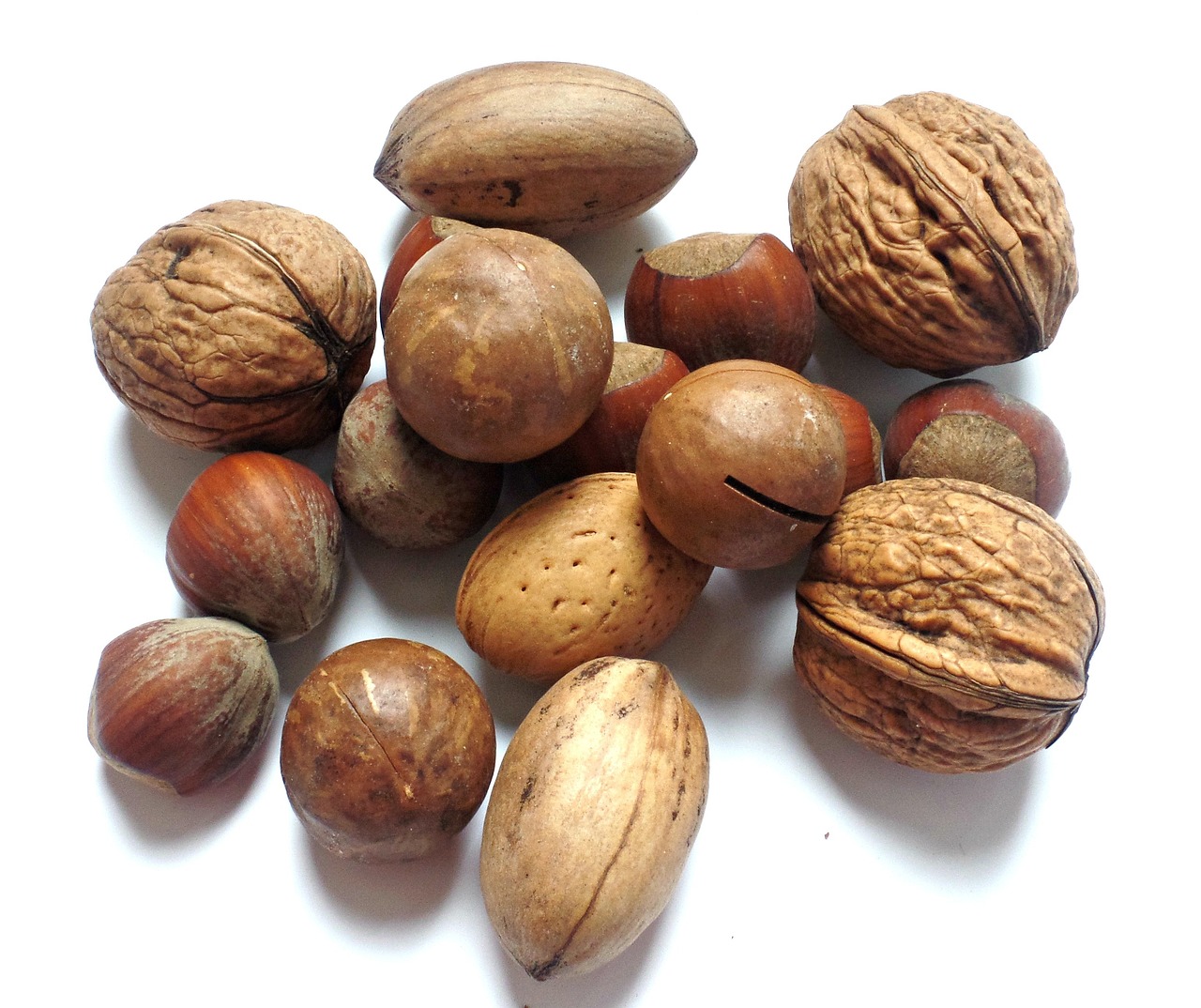 nut, walnut, brazil nut-1569252.jpg